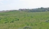 eastern-montana-grain-farm-0004