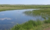 eastern-montana-grain-farm-0005