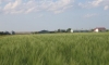 eastern-montana-grain-farm-0008