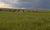 lavina-ranch-0003