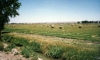 miles-city-ranch-0002